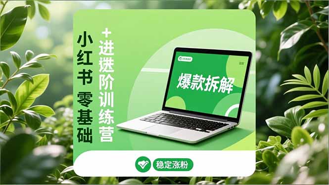 小红书零基础+高阶训练营：安全养号、爆款拆解、长效运营，实现稳定涨粉与变现-网创商城
