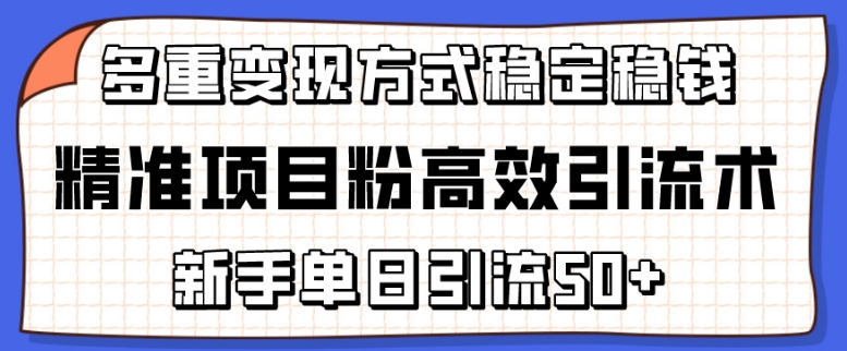 精准项目粉高效引流术，新手单日引流50+，多重变现方式稳定赚钱-网创商城