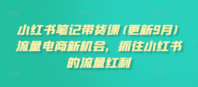 小红书笔记带货课(更新25年12月)流量电商新机会，抓住小红书的流量红利-网创商城