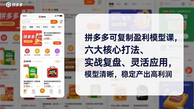 拼多多可复制盈利模型课，六大核心打法、实战复盘、灵活应用，模型清晰，稳定产出高利润-网创商城