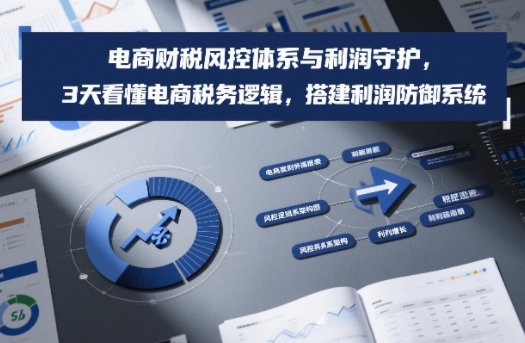 电商财税风控体系与利润守护，3天看懂电商税务逻辑，搭建利润防御系统-网创商城
