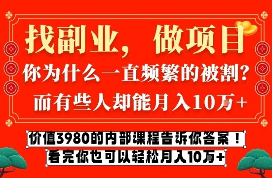 价值3980的网创内部课程，告诉你互联网创业月入10个W的秘密【揭秘】-网创商城
