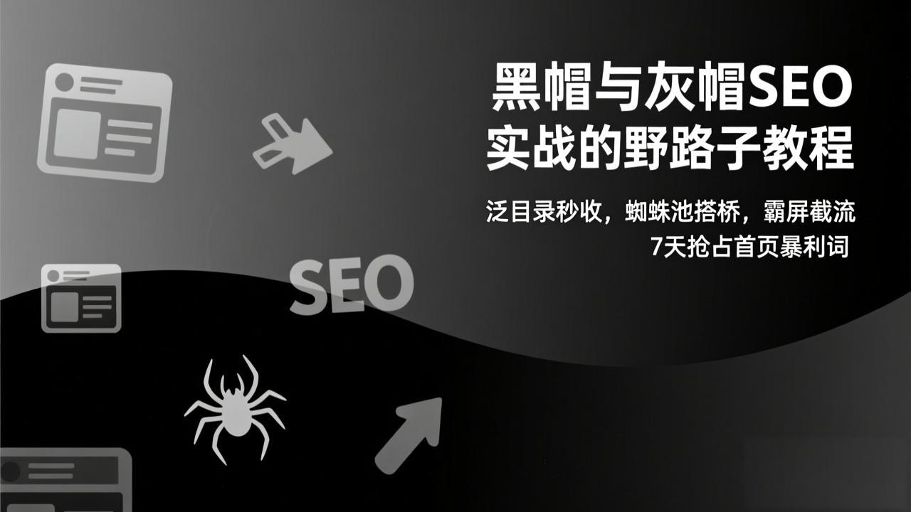 黑帽与灰帽SEO实战的野路子教程：泛目录秒收，蜘蛛池搭桥，霸屏截流，7天抢占首页暴利词-网创商城
