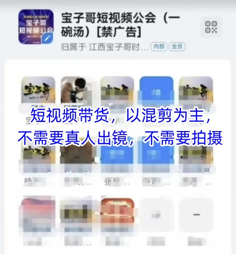 宝子哥头部团队短视频带货,以混剪为主,不需要真人出镜,不需要拍摄【更新12月】-网创商城