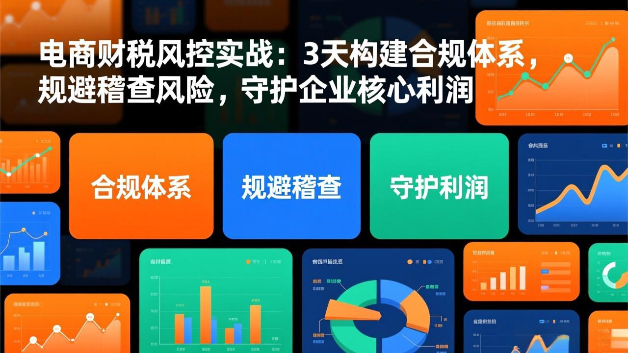 电商财税风控实战:3天构建合规体系,规避稽查风险,守护企业核心利润-网创商城